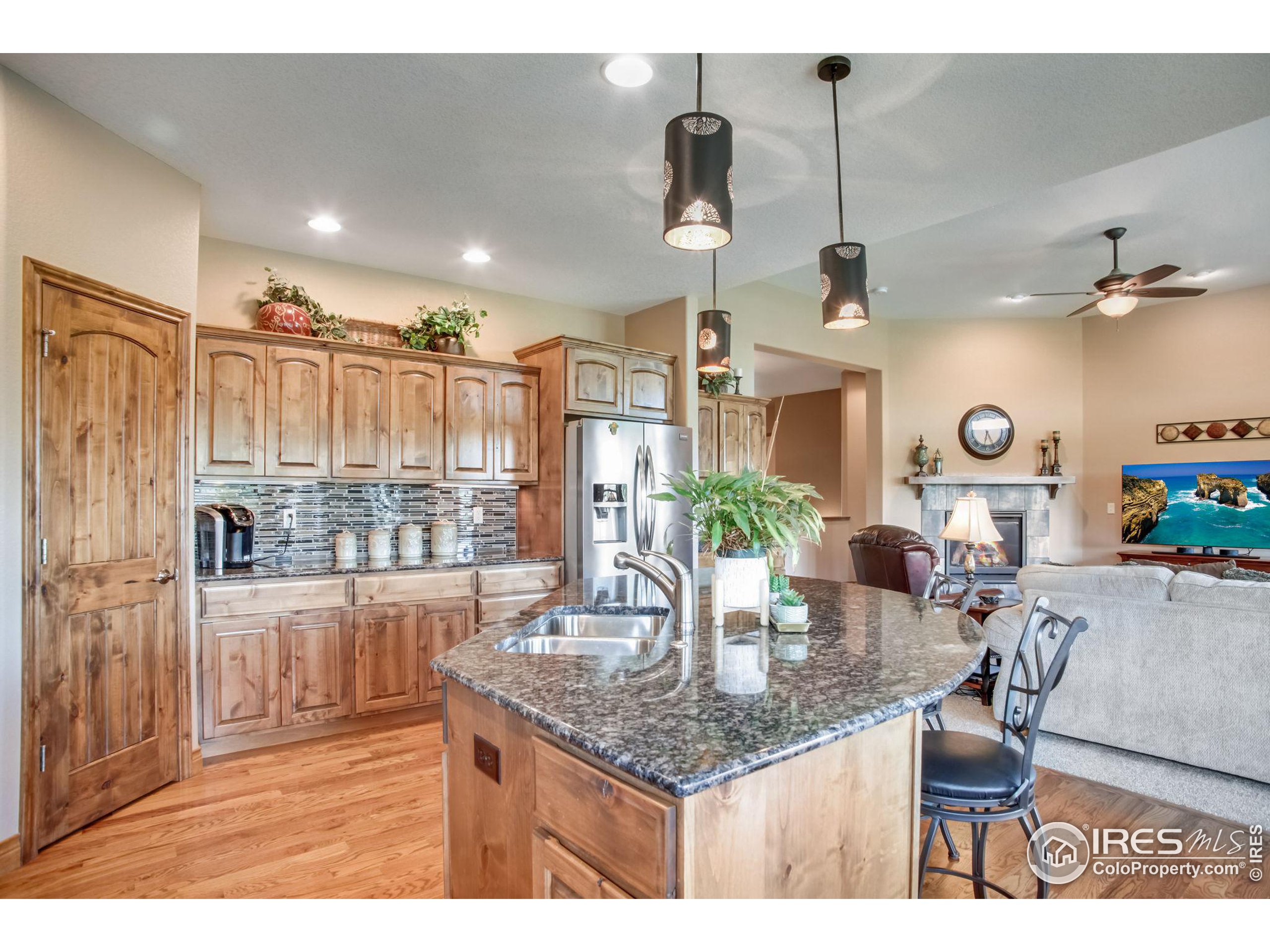 3448 Peruvian Torch Dr