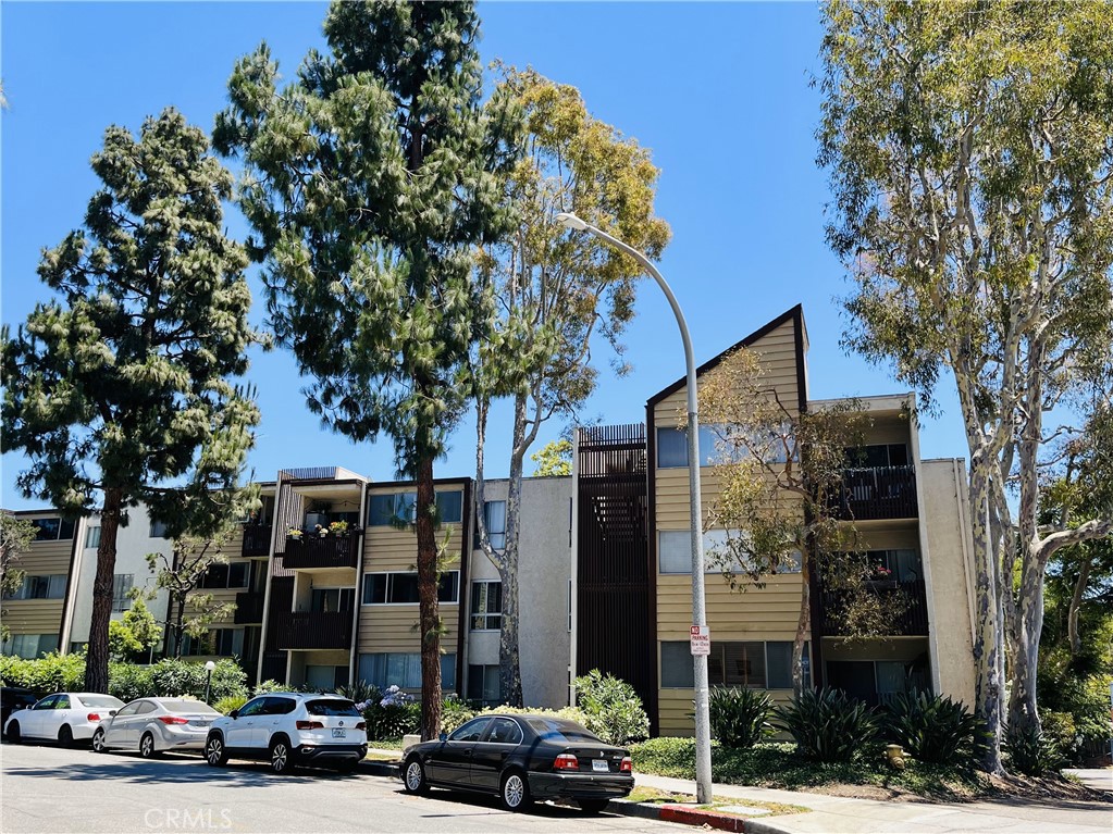 6000 Canterbury Drive D206