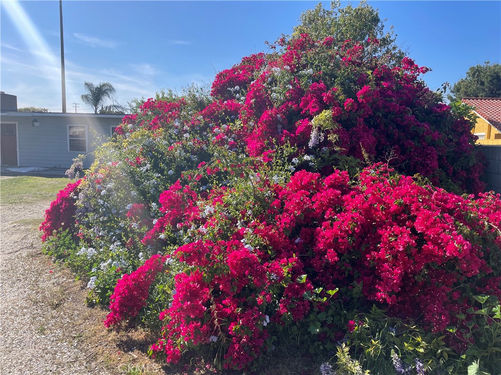 3517 Big Dalton Avenue