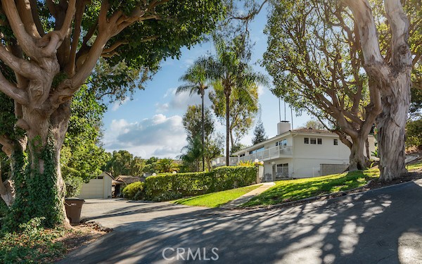 36 Pony Lane