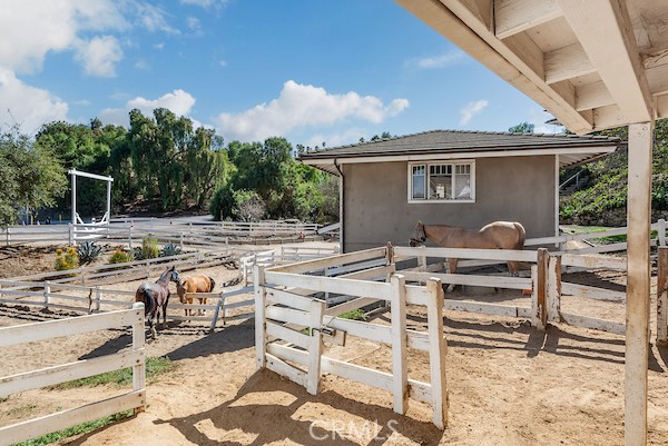 36 Pony Lane