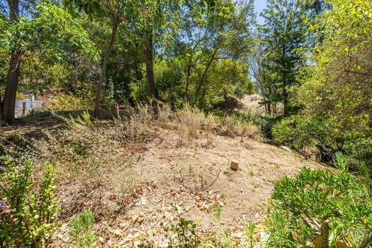 7218 Woodrow Wilson Dr
