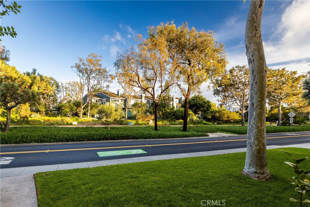255 Valley