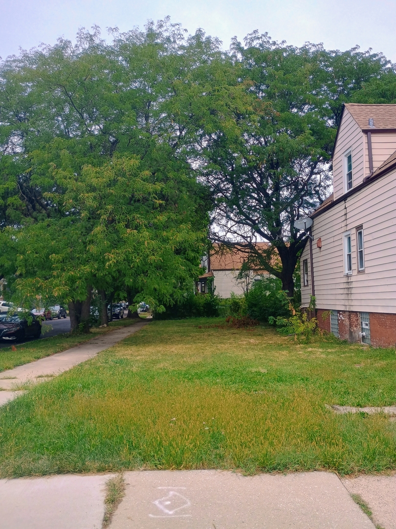Residential side yard with mature trees, a sidewalk, and a light-colored two-story house.