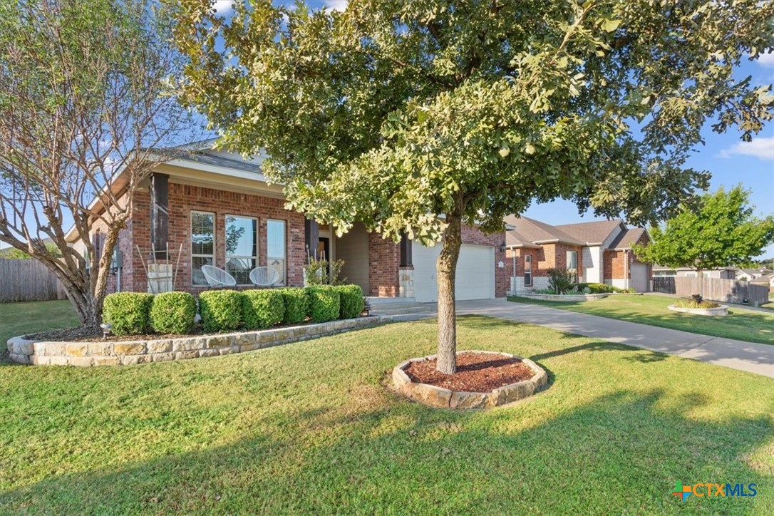 513 Dandridge Drive