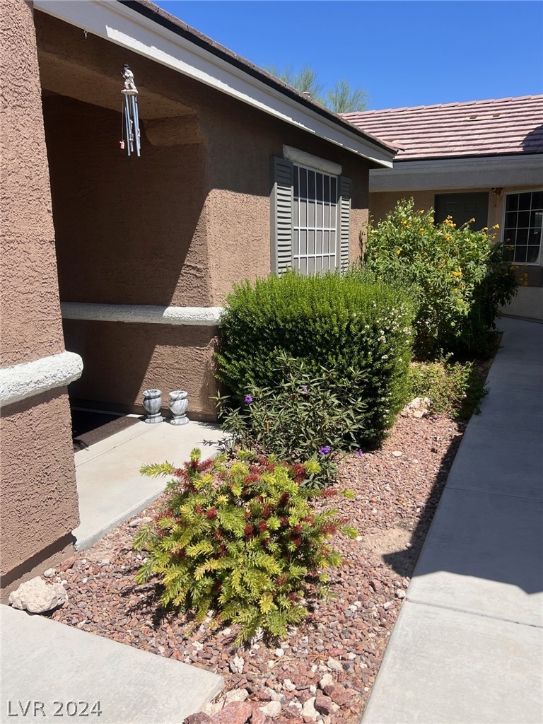 4828 Palm Tree Court