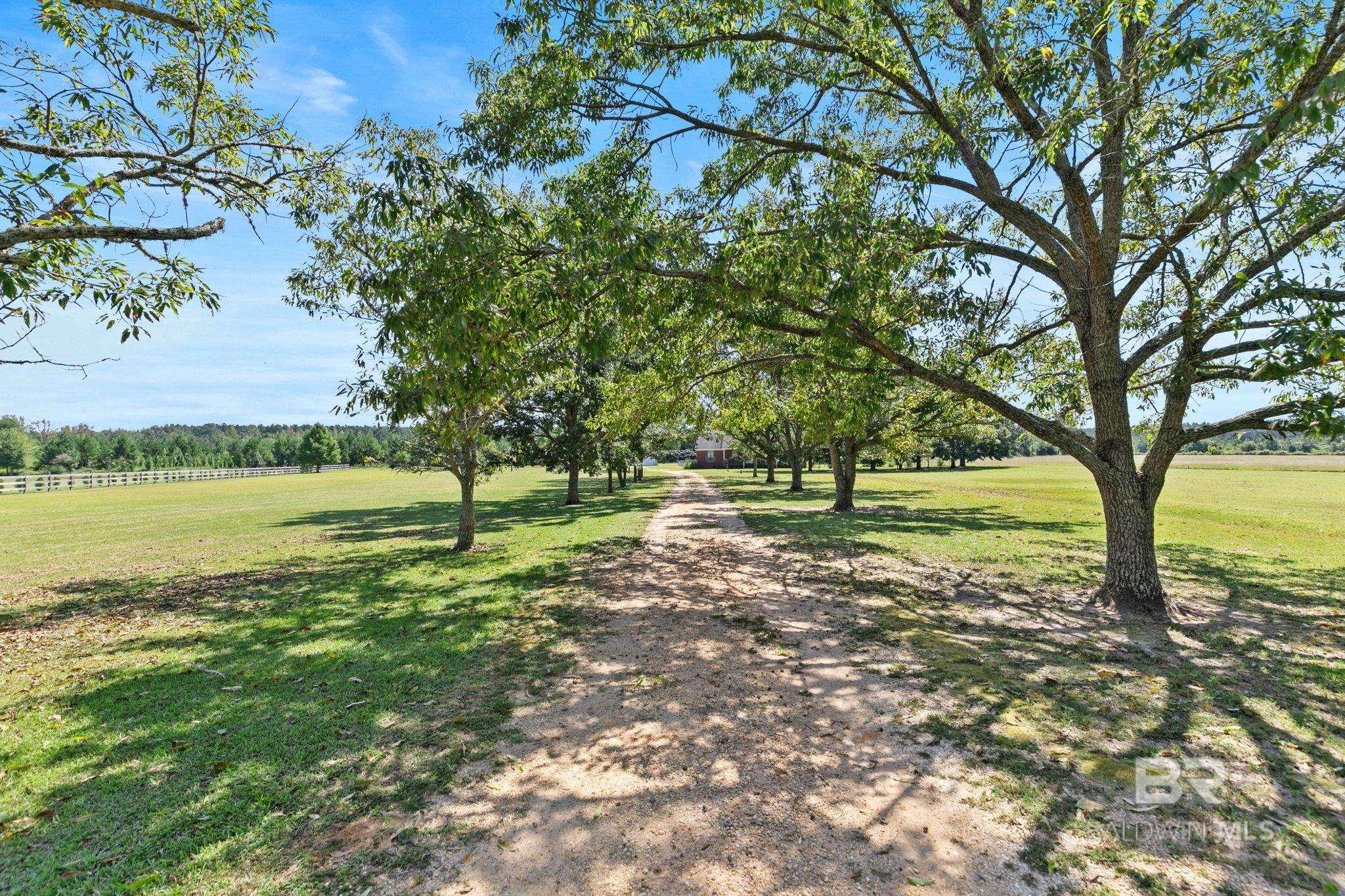 10294 Jack Springs Road