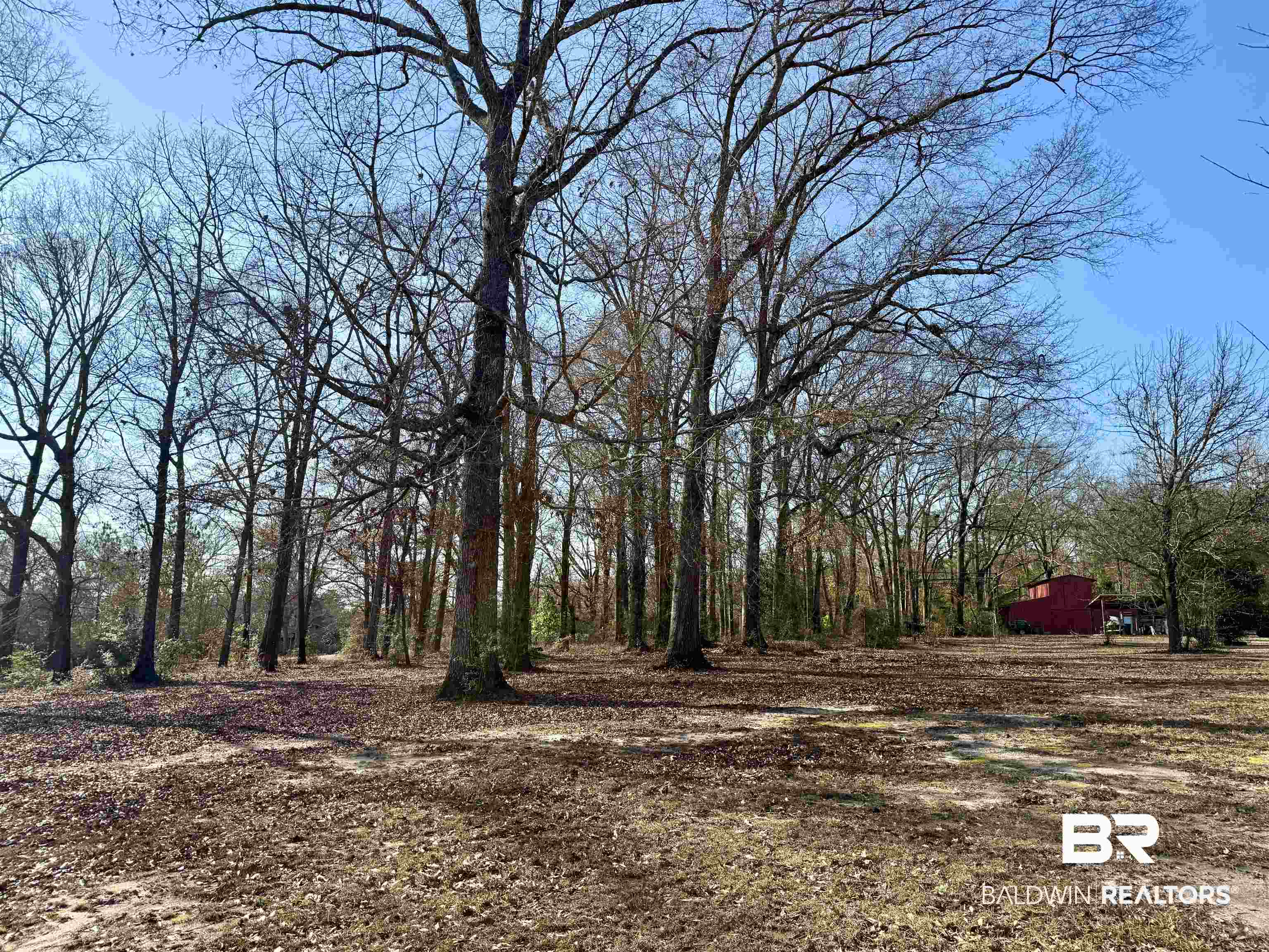5646 Foshee Road