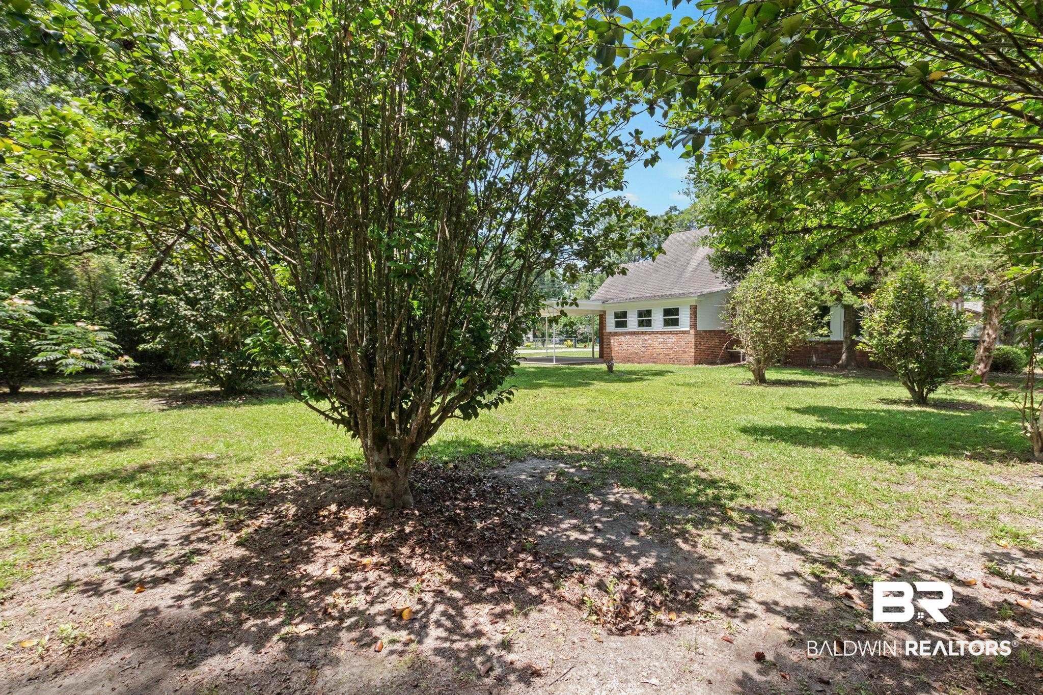 900 Lovelace Avenue