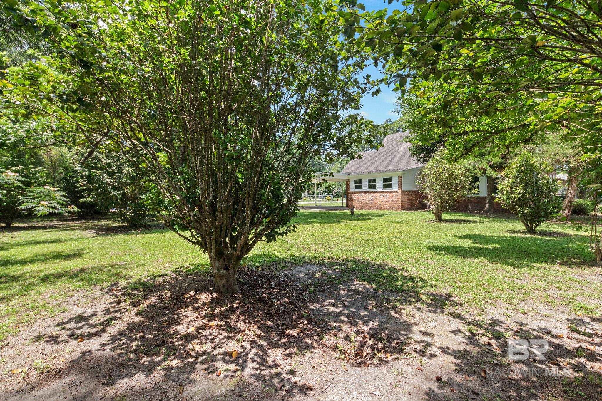 900 Lovelace Avenue