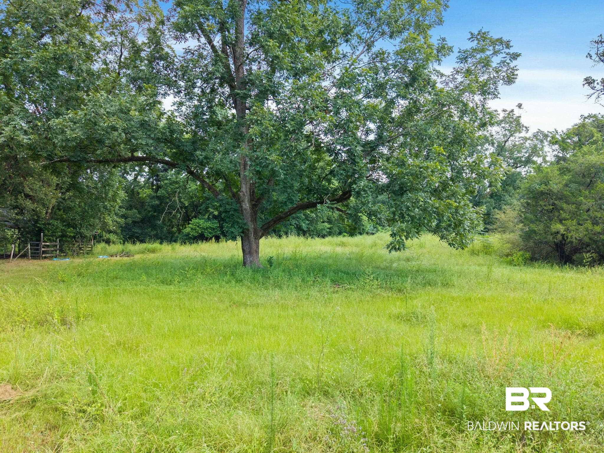 3055 County Road 43