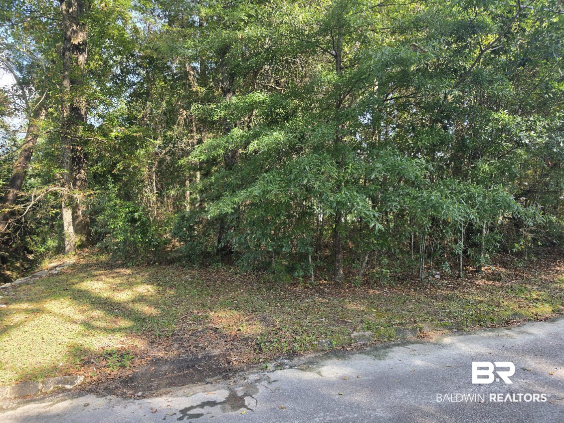 Wooded vacant lot bordered by a paved road, with dense trees and undergrowth.