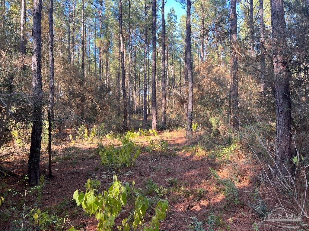 Lot 1-RS Hwy 182