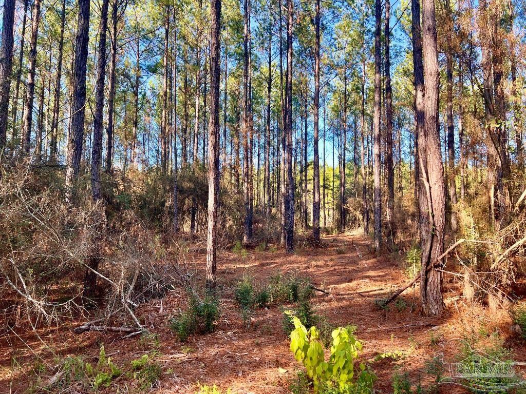 Lot 1-RS Hwy 182