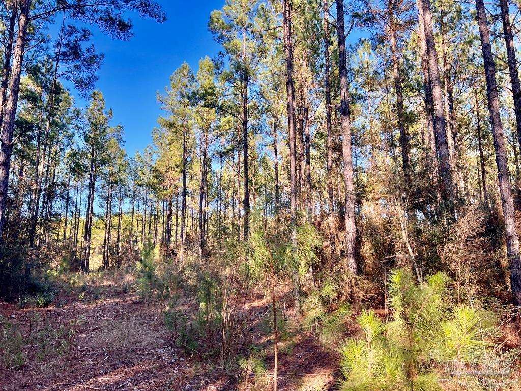 Lot 1-RS Hwy 182