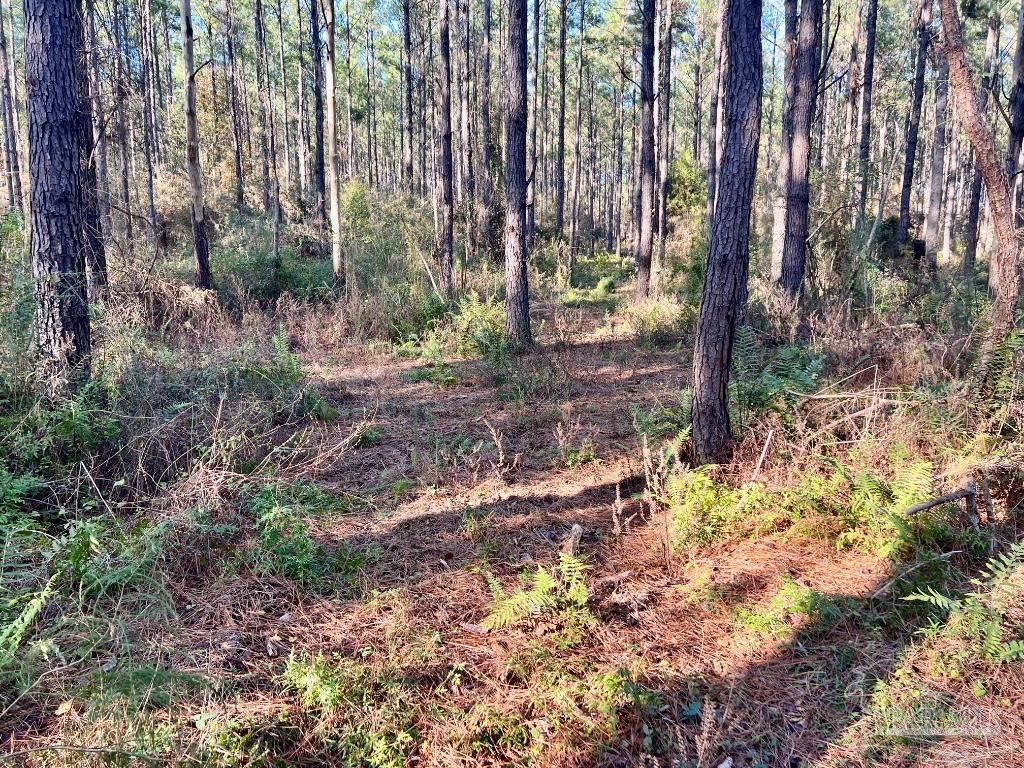 Lot 1-RS Hwy 182