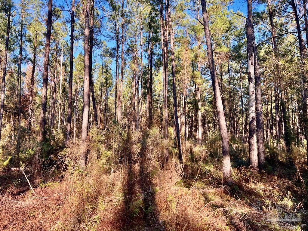 Lot 1-RS Hwy 182