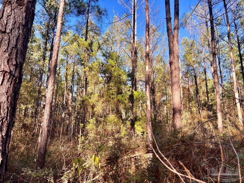 Lot 1-RS Hwy 182
