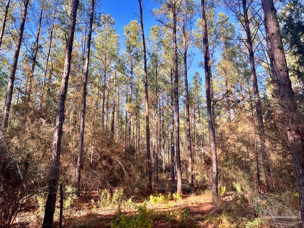 Lot 1-RS Hwy 182