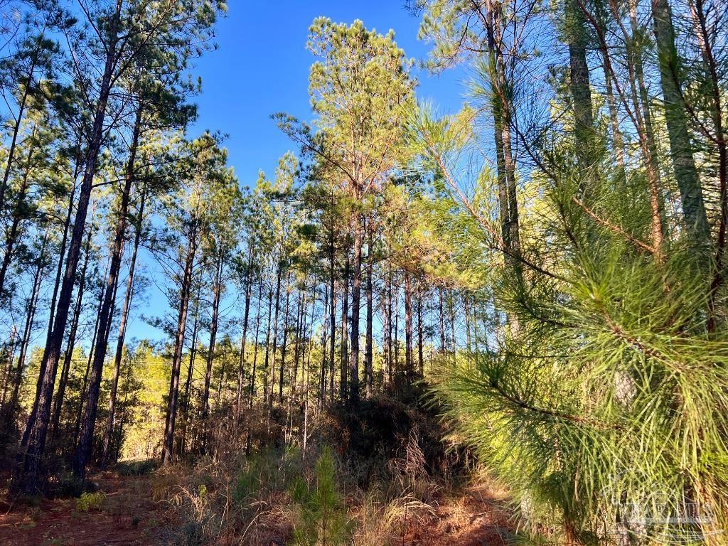 Lot 1-RS Hwy 182