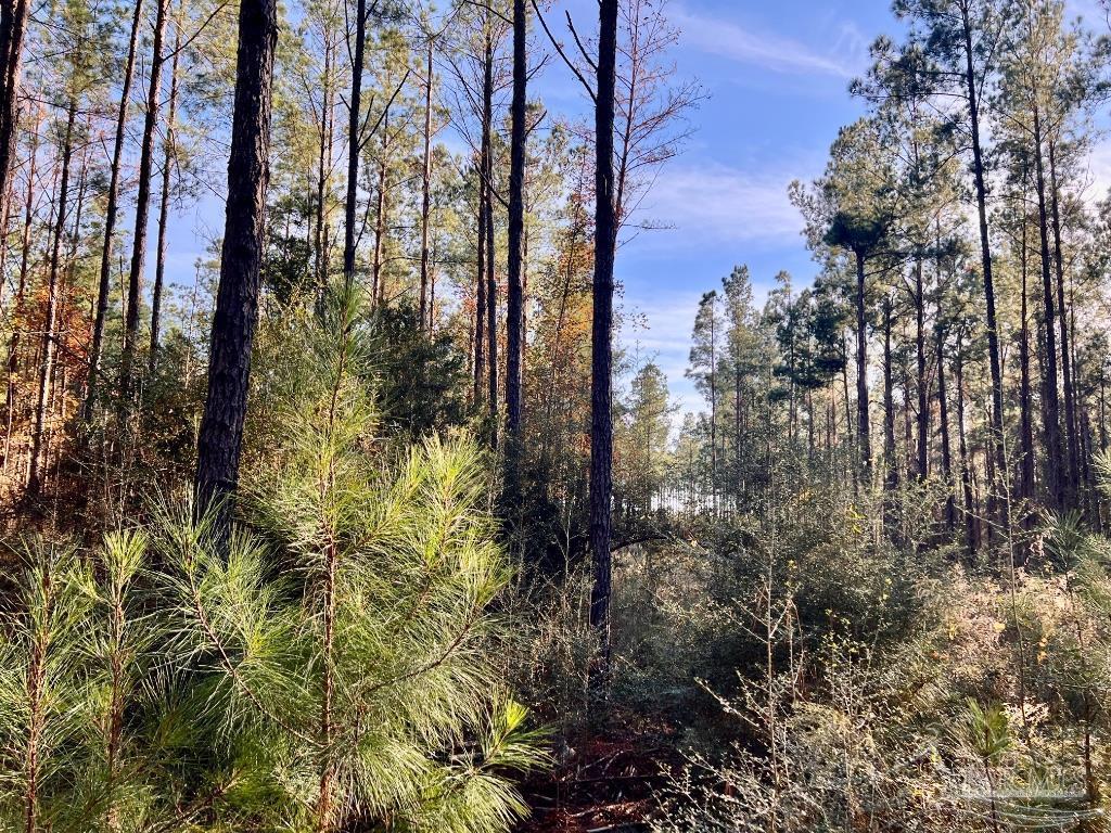 Lot 1-RS Hwy 182