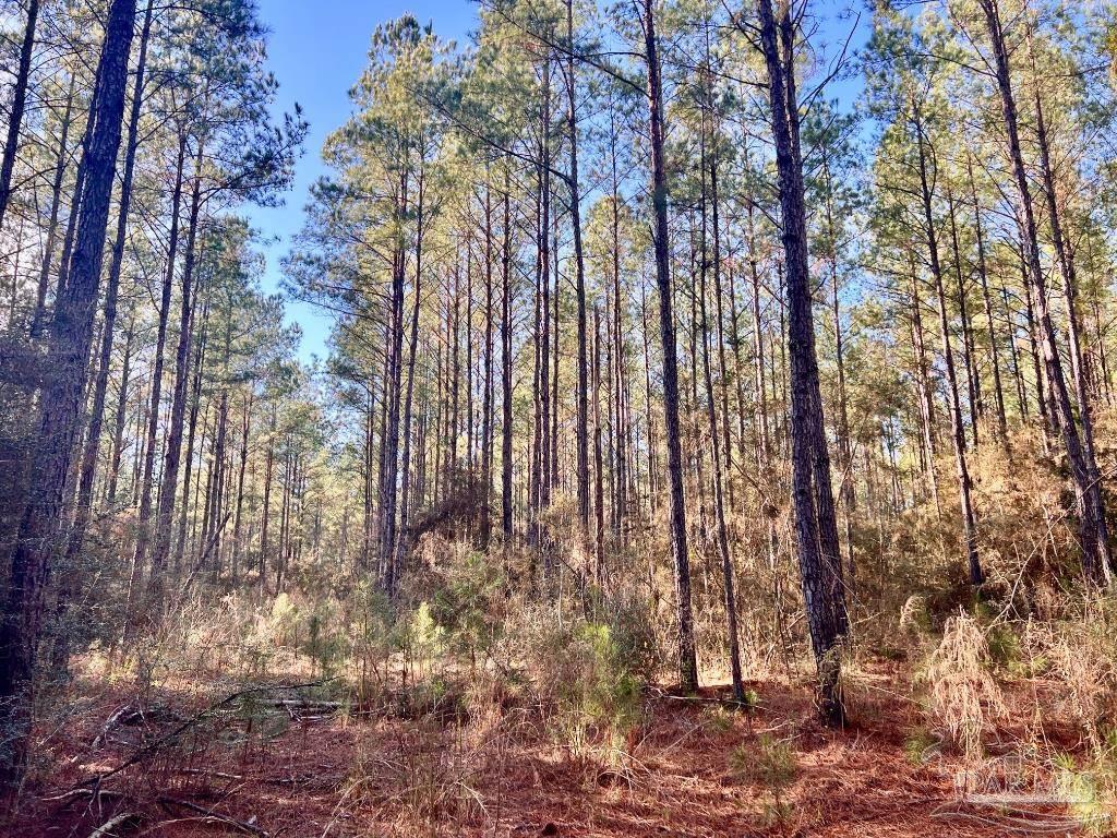 Lot 1-RS Hwy 182
