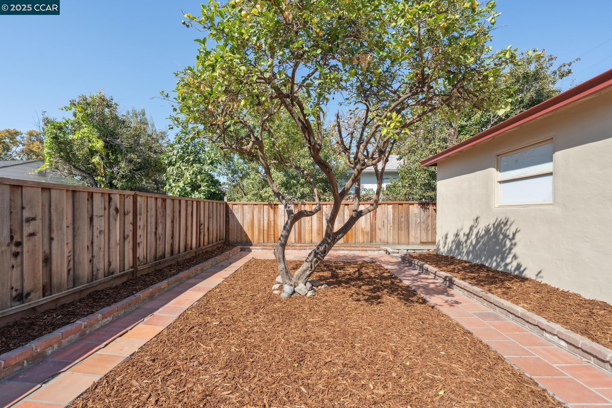 619 Beartice Street