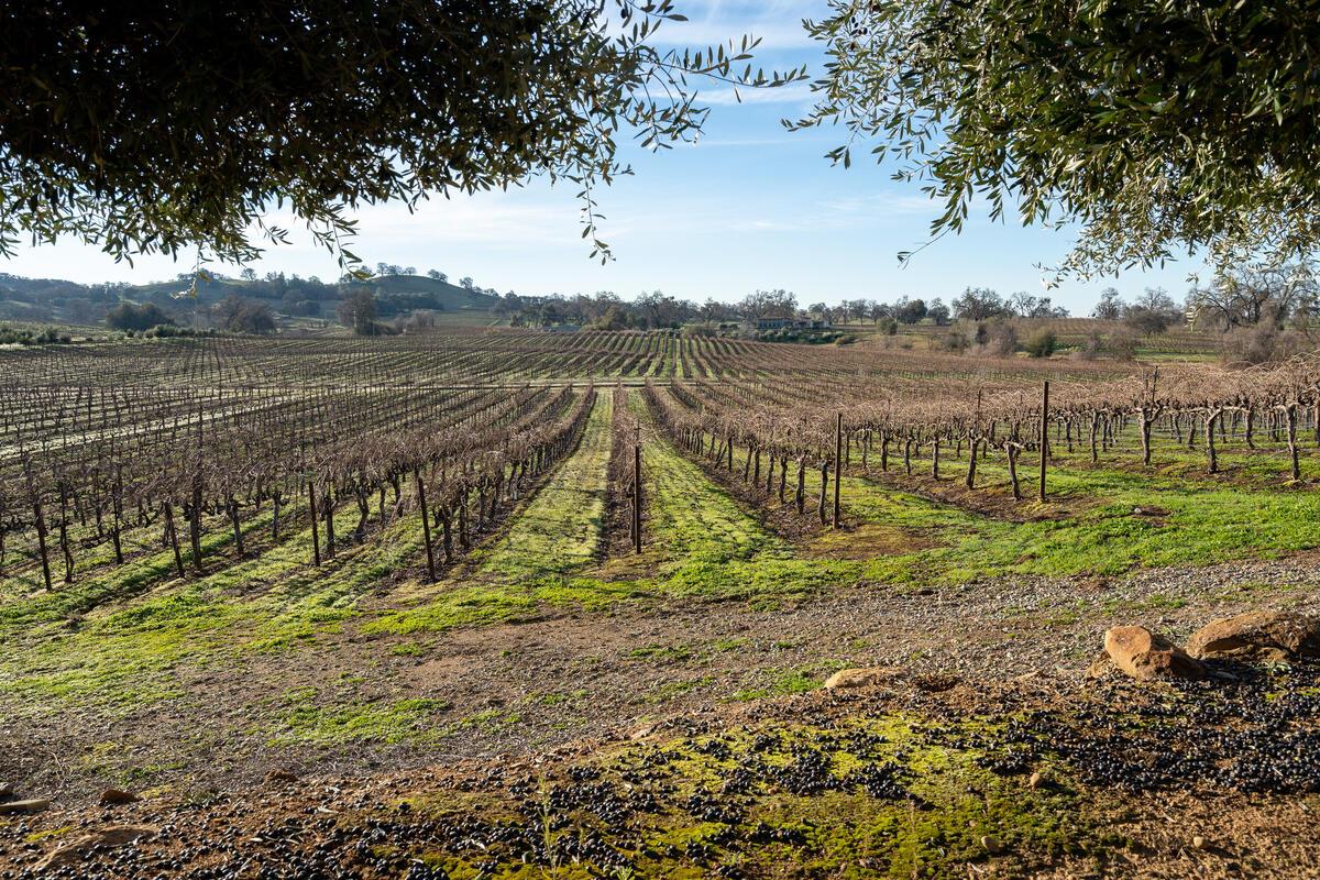 19900 Shenandoah School Rd