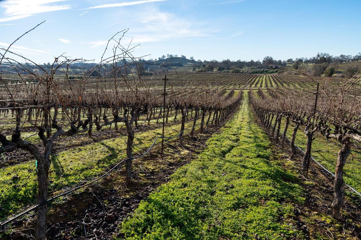 19900 Shenandoah School Rd