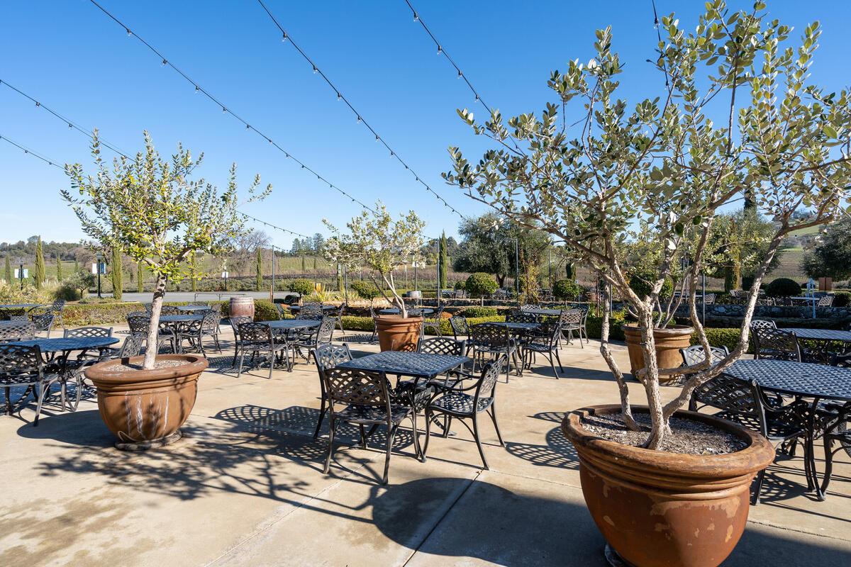 19900 Shenandoah School Rd