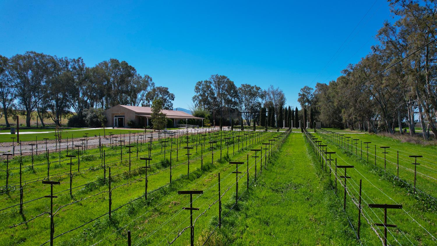 19900 Sherman Island Cross Rd