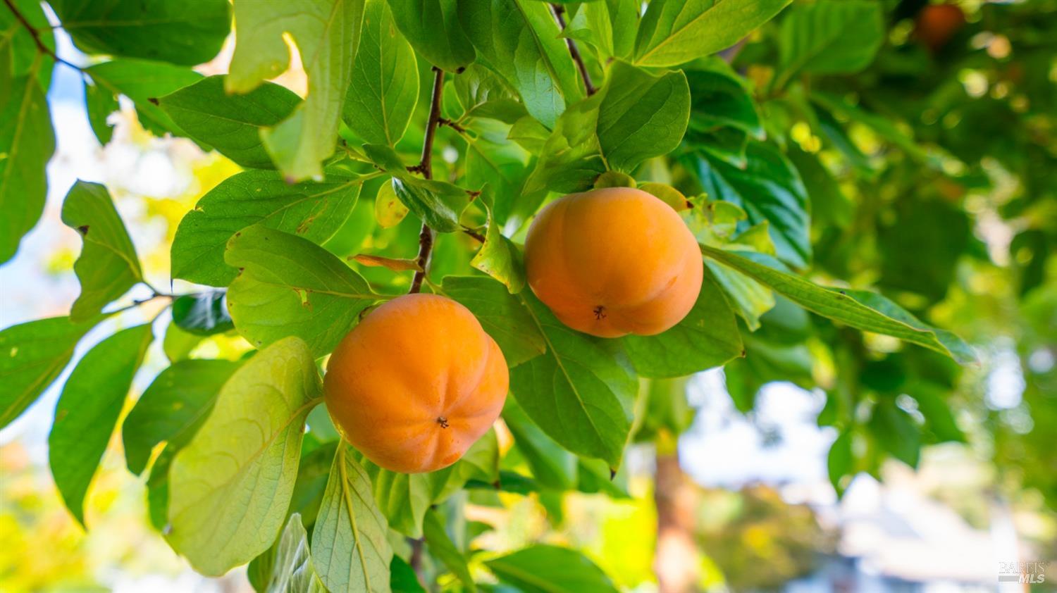 1722 Rockville Road Rd