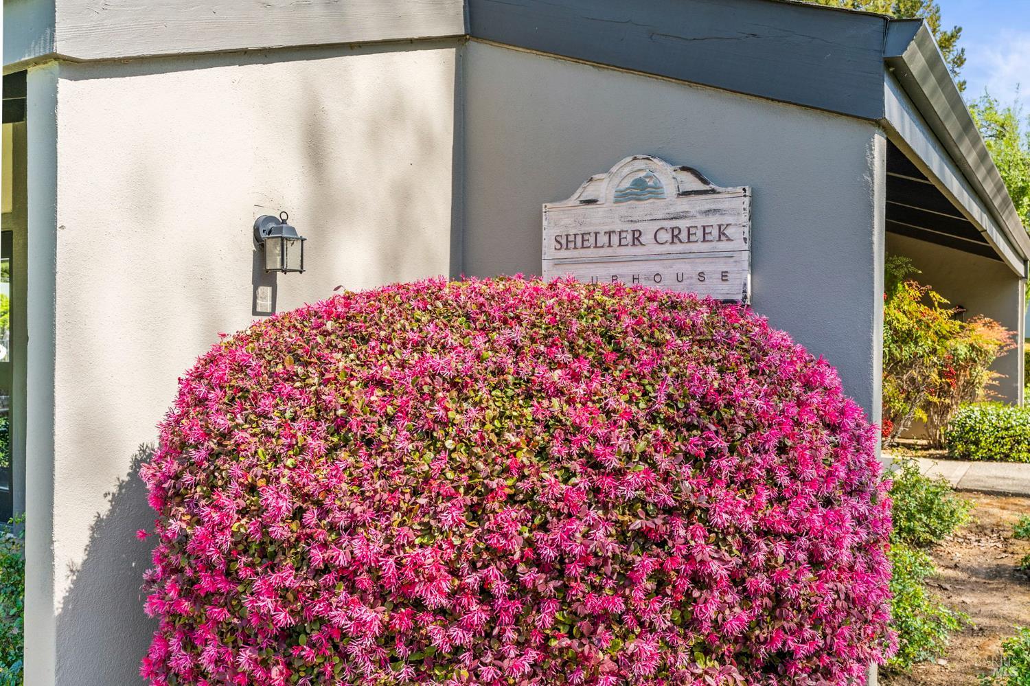 3482 Shelter Creek Drive