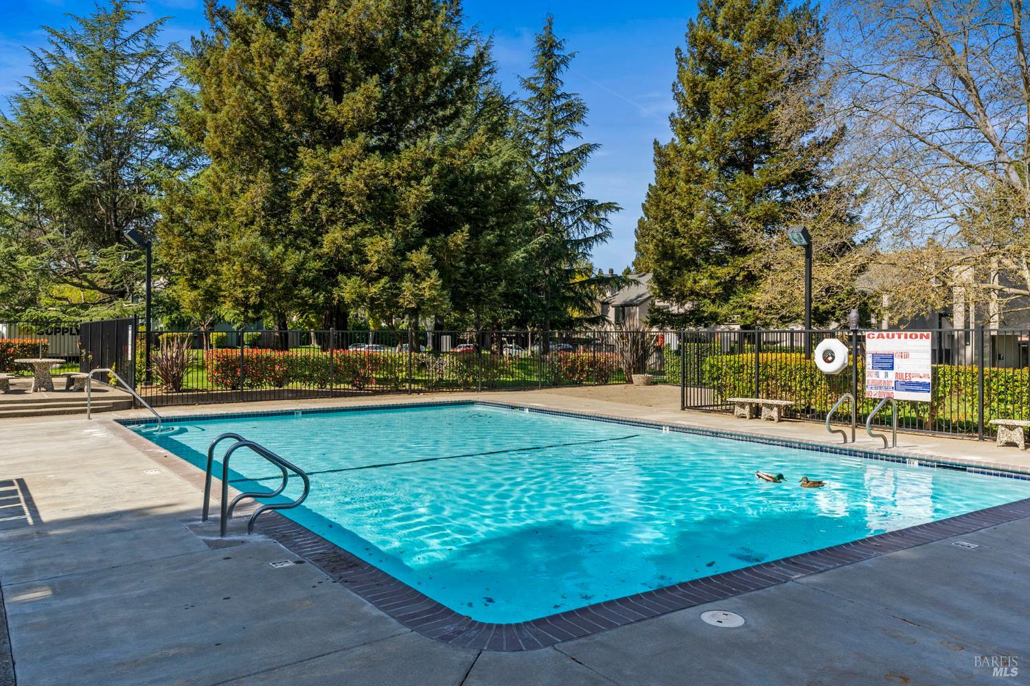 3482 Shelter Creek Drive