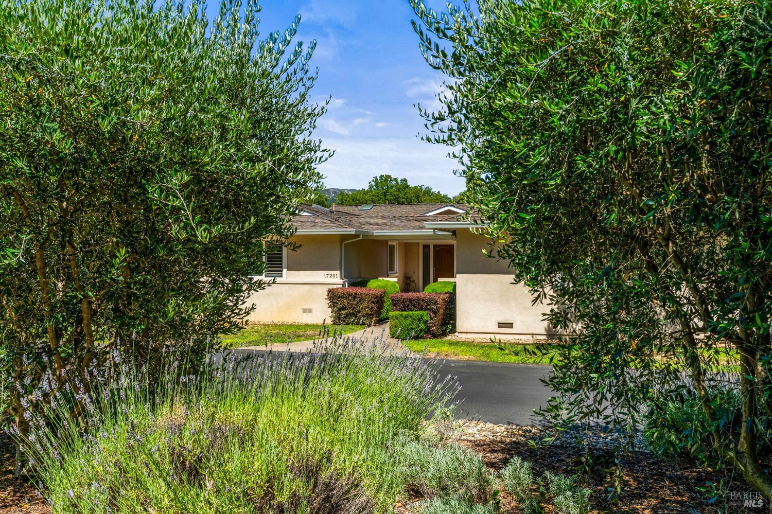 17201 Arnold Drive