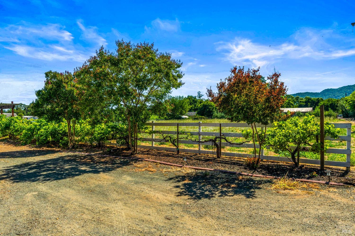 17201 Arnold Drive