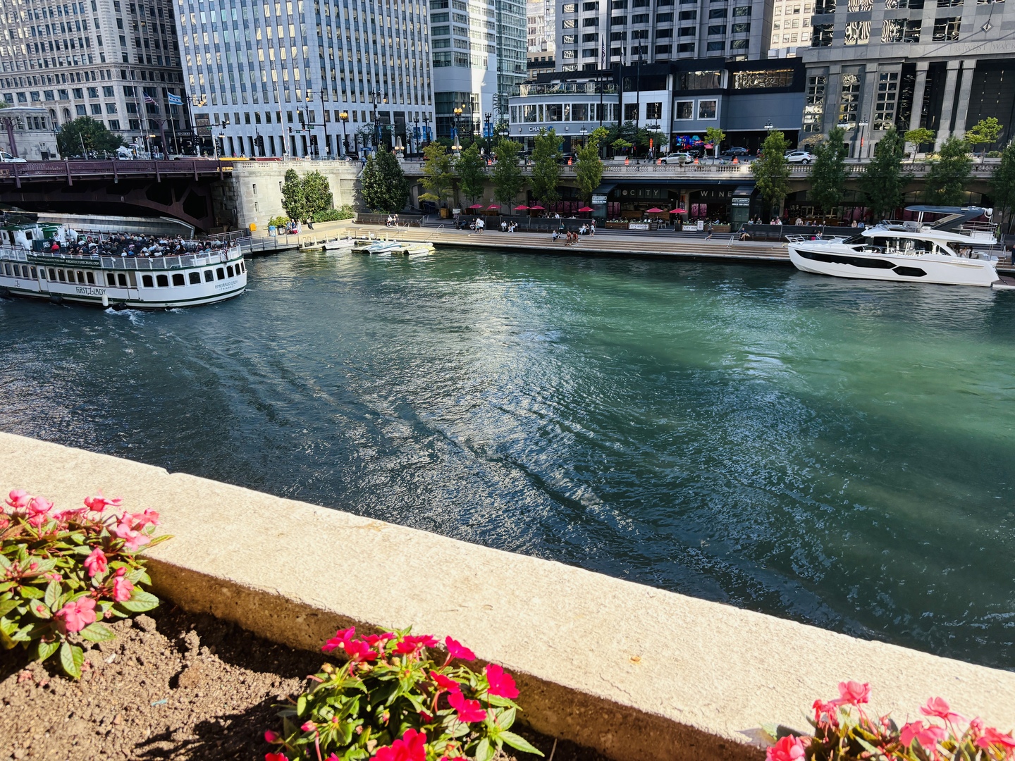 300 N State Street Unit: 3228