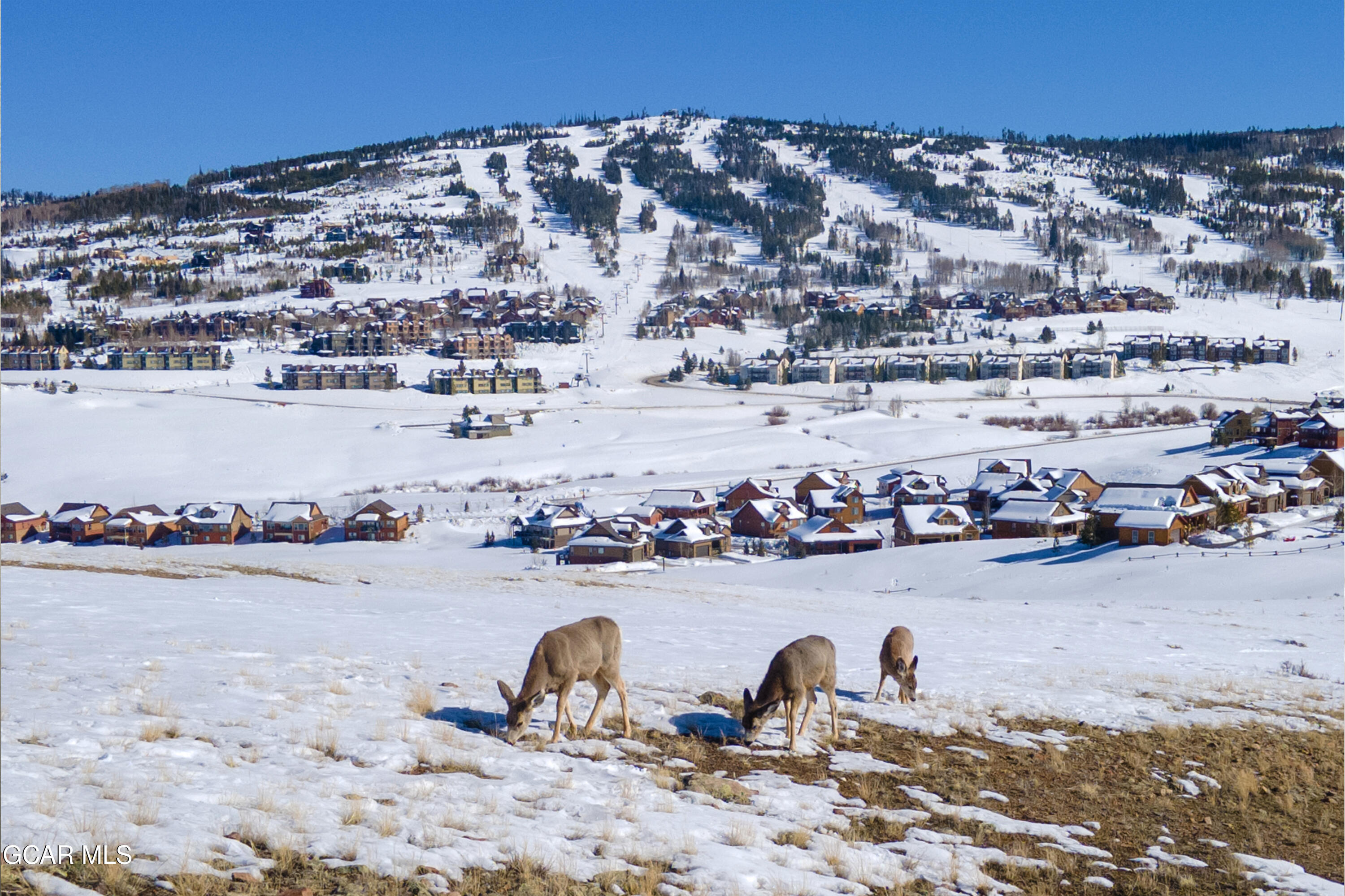 154 Village Rd #C-103