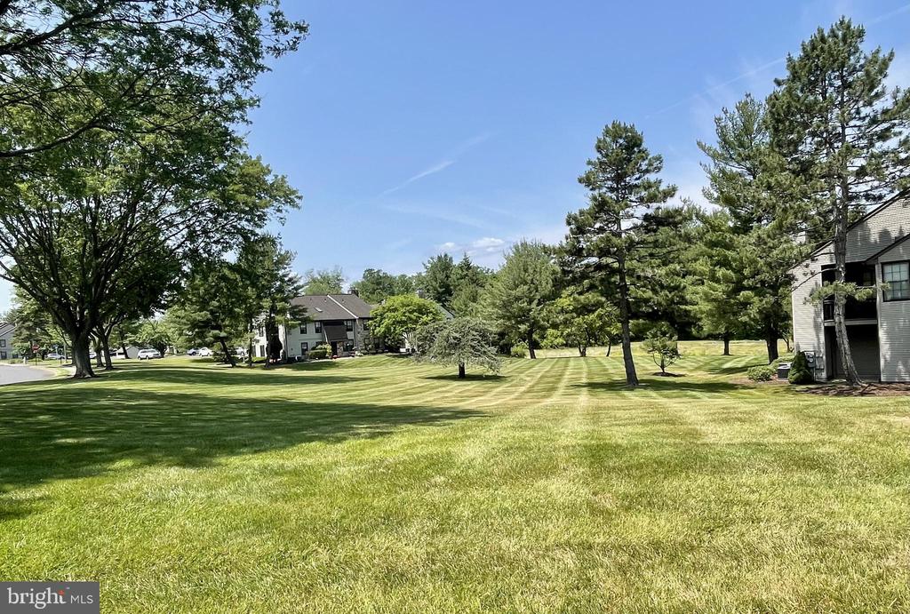 182 BASSWOOD COURT