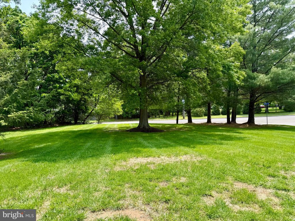 1354 PEACH TREE LANE Unit: 54