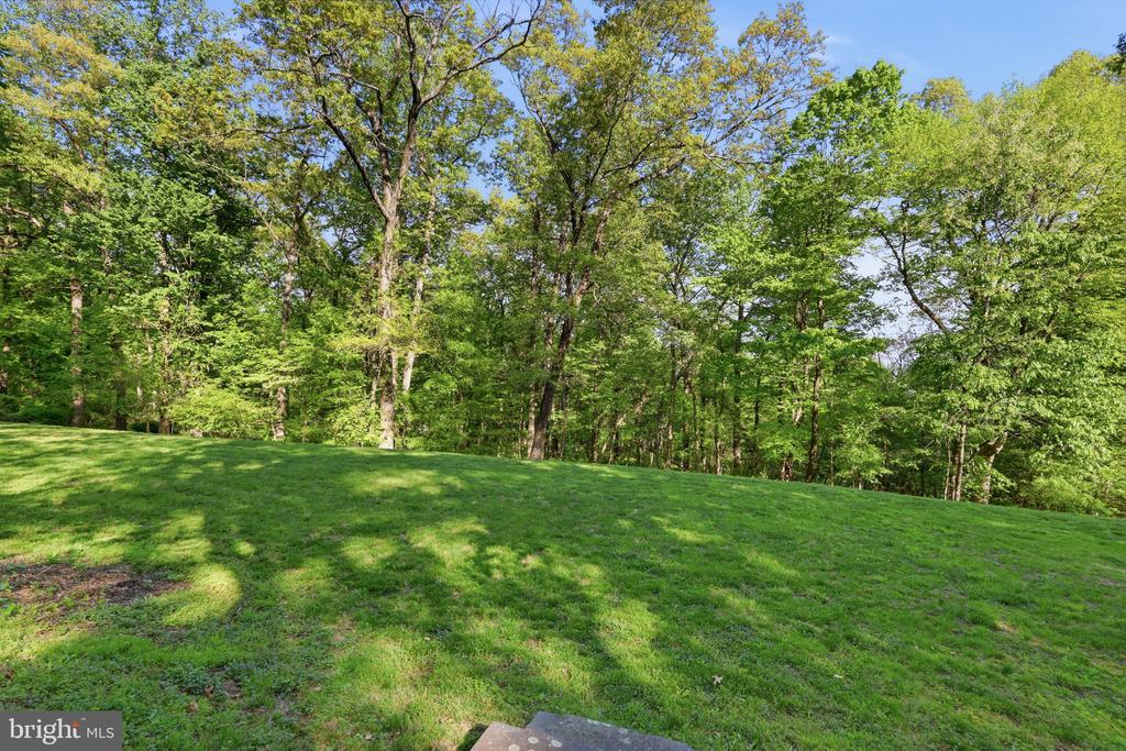 2244 SPRINGTOWN HILL ROAD