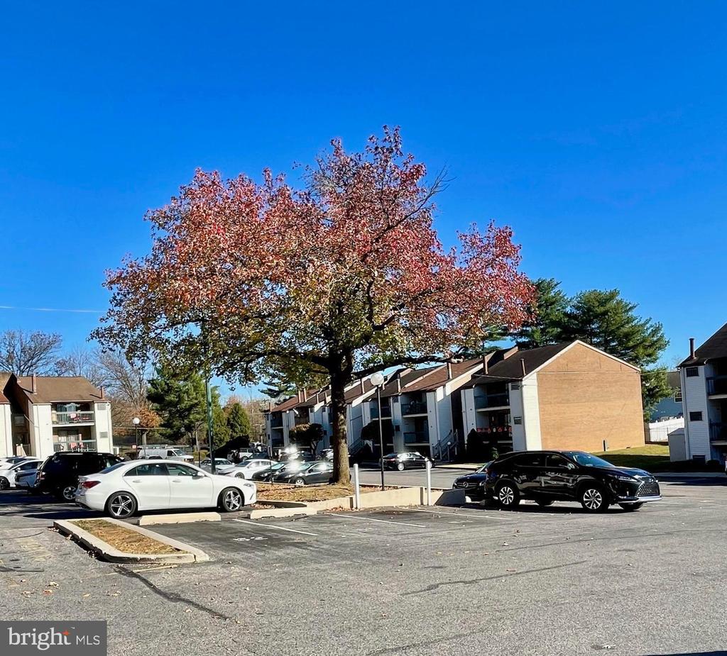3750 CLARENDON AVENUE Unit: 45