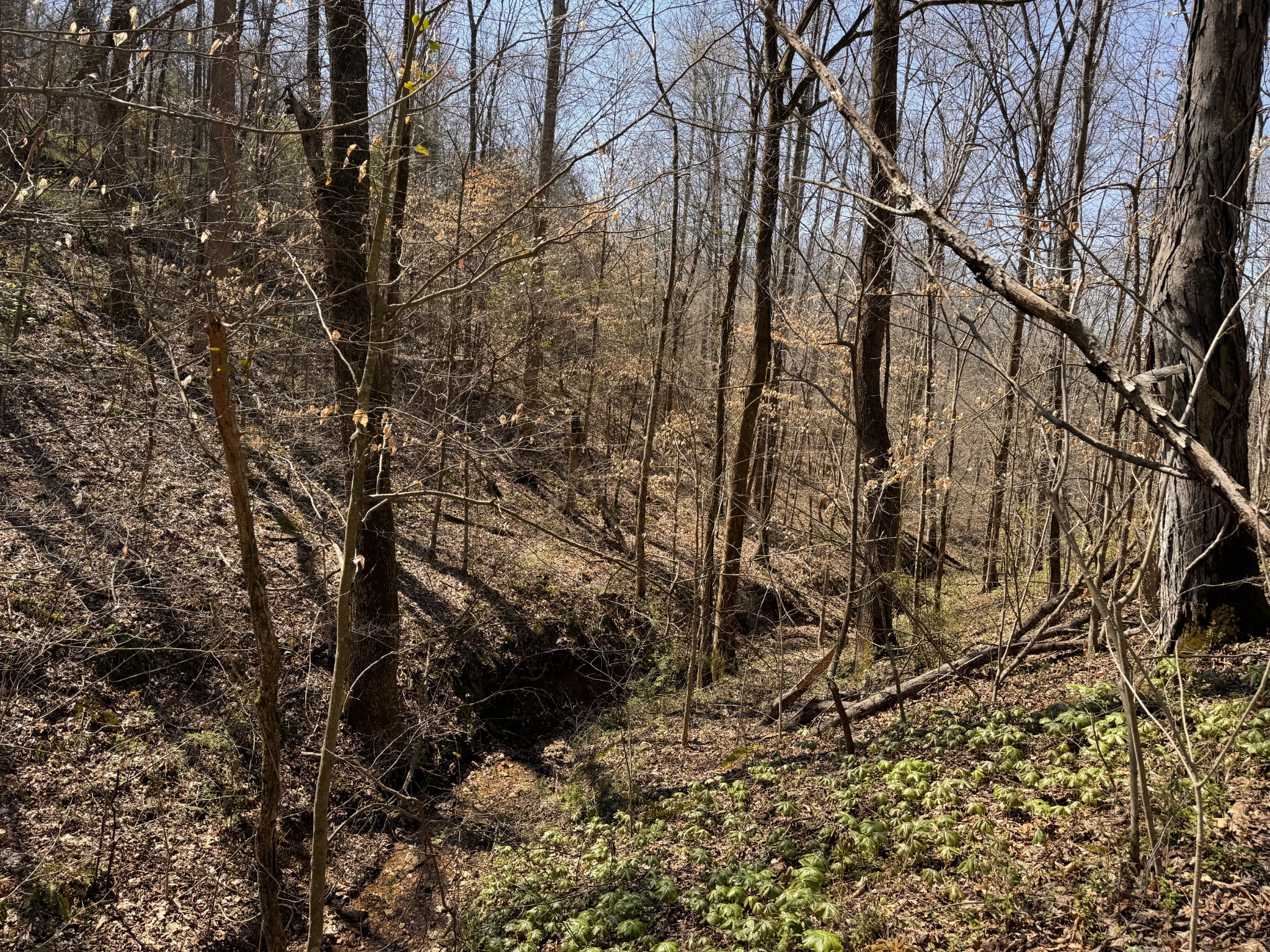 0 Chestnut Grove Cemetery Rd