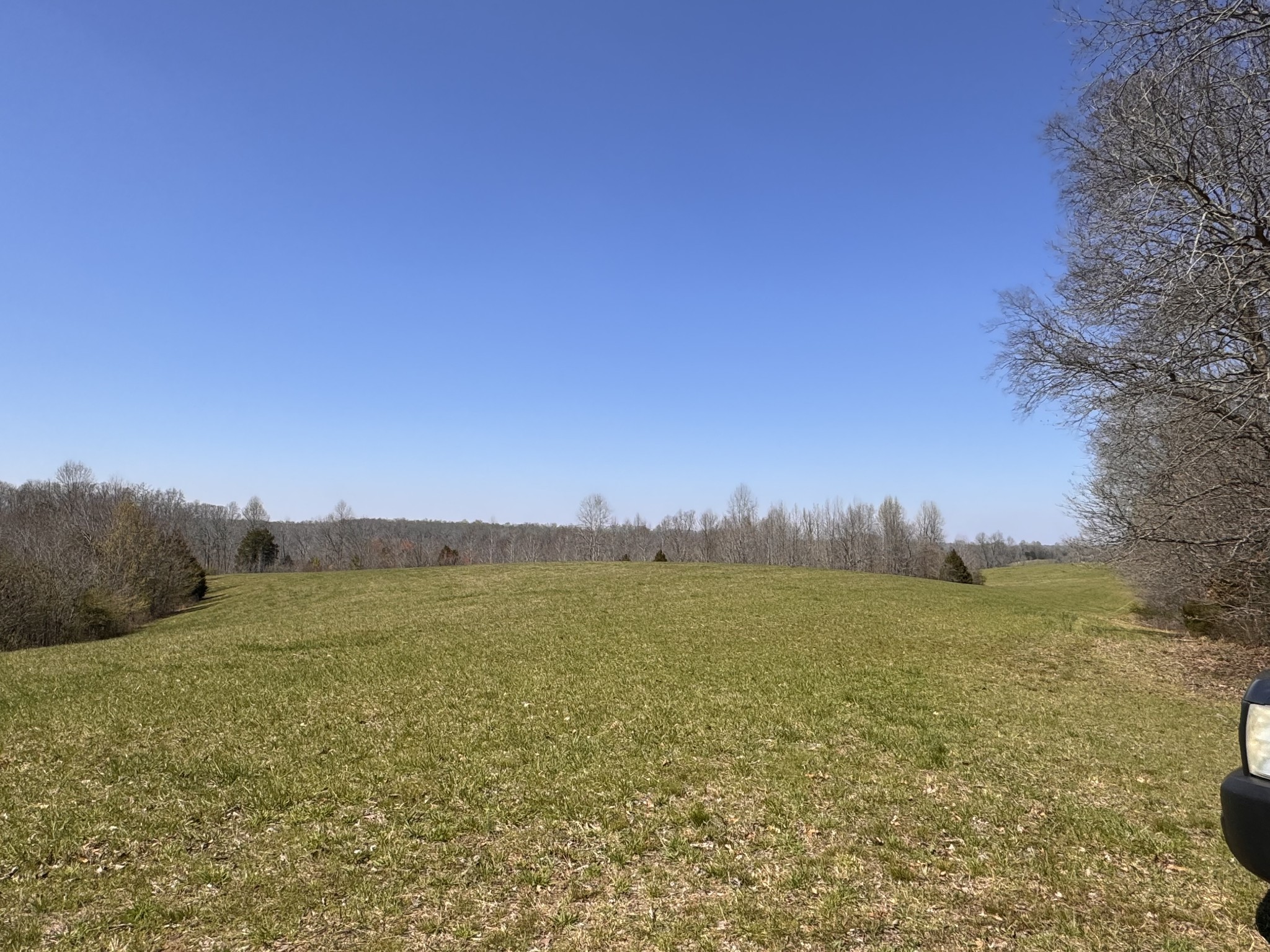 0 Chestnut Grove Cemetery Rd