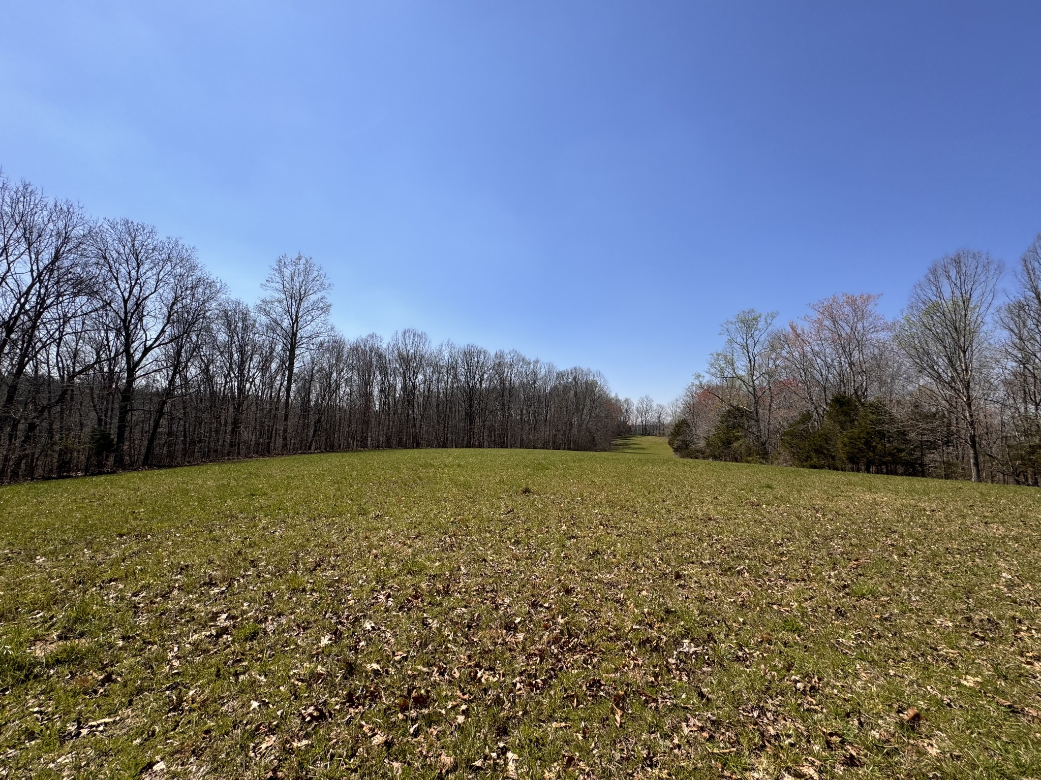 0 Chestnut Grove Cemetery Rd