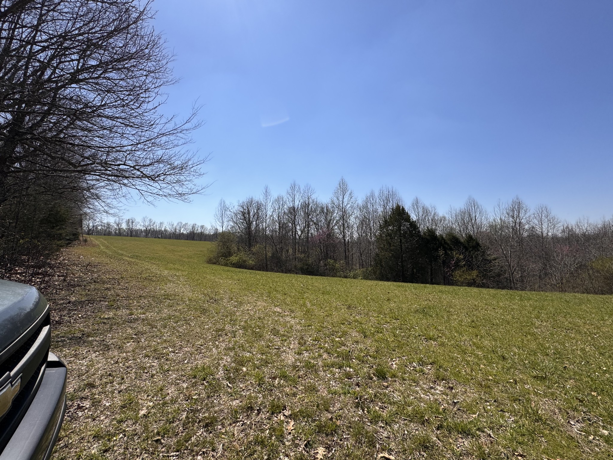 0 Chestnut Grove Cemetery Rd
