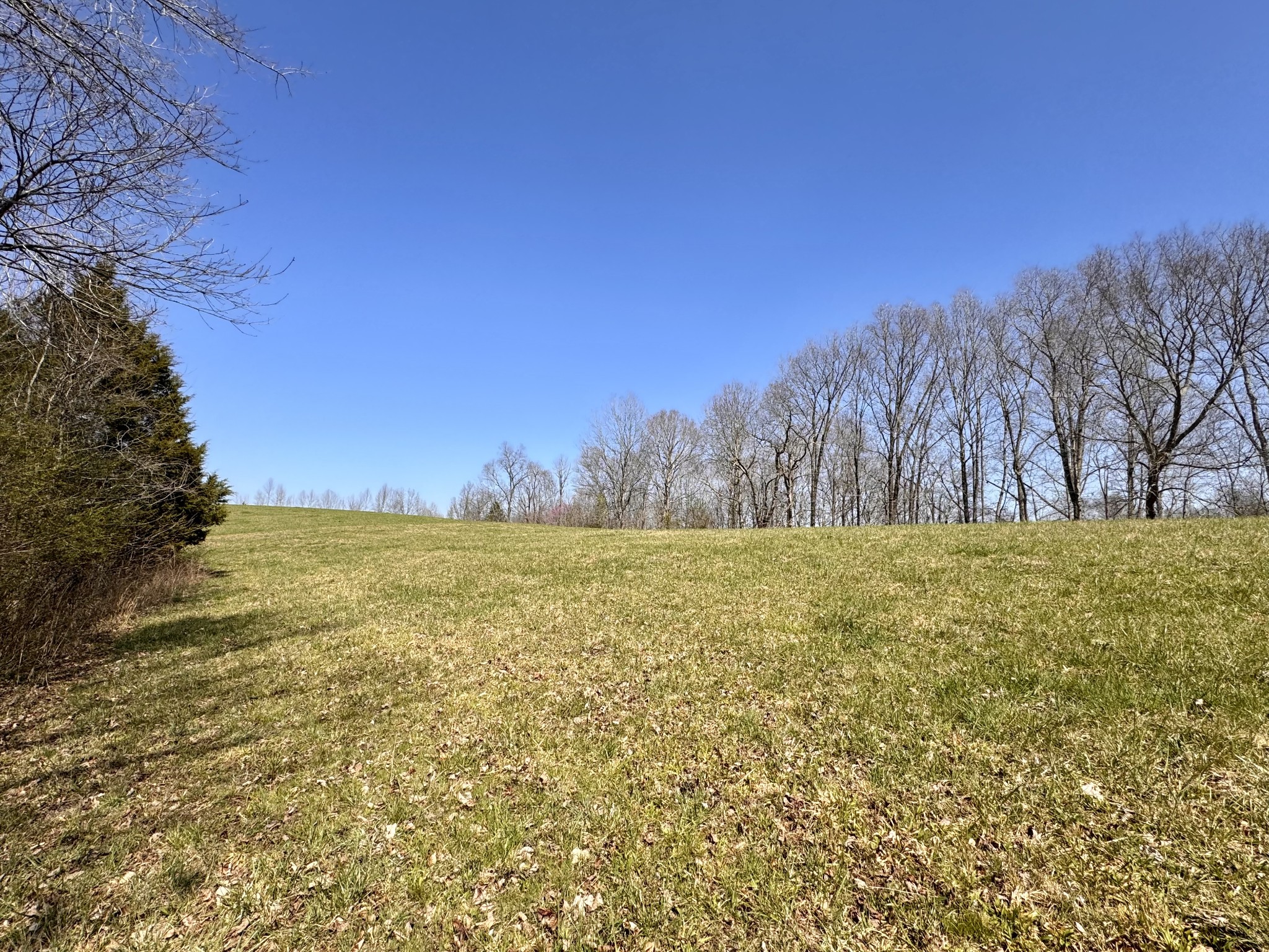0 Chestnut Grove Cemetery Rd