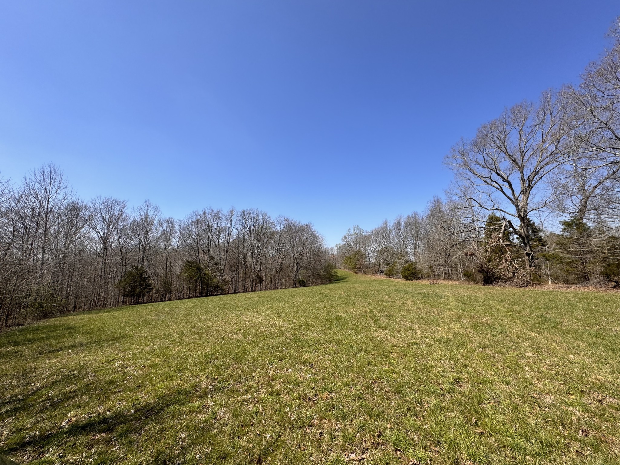 0 Chestnut Grove Cemetery Rd