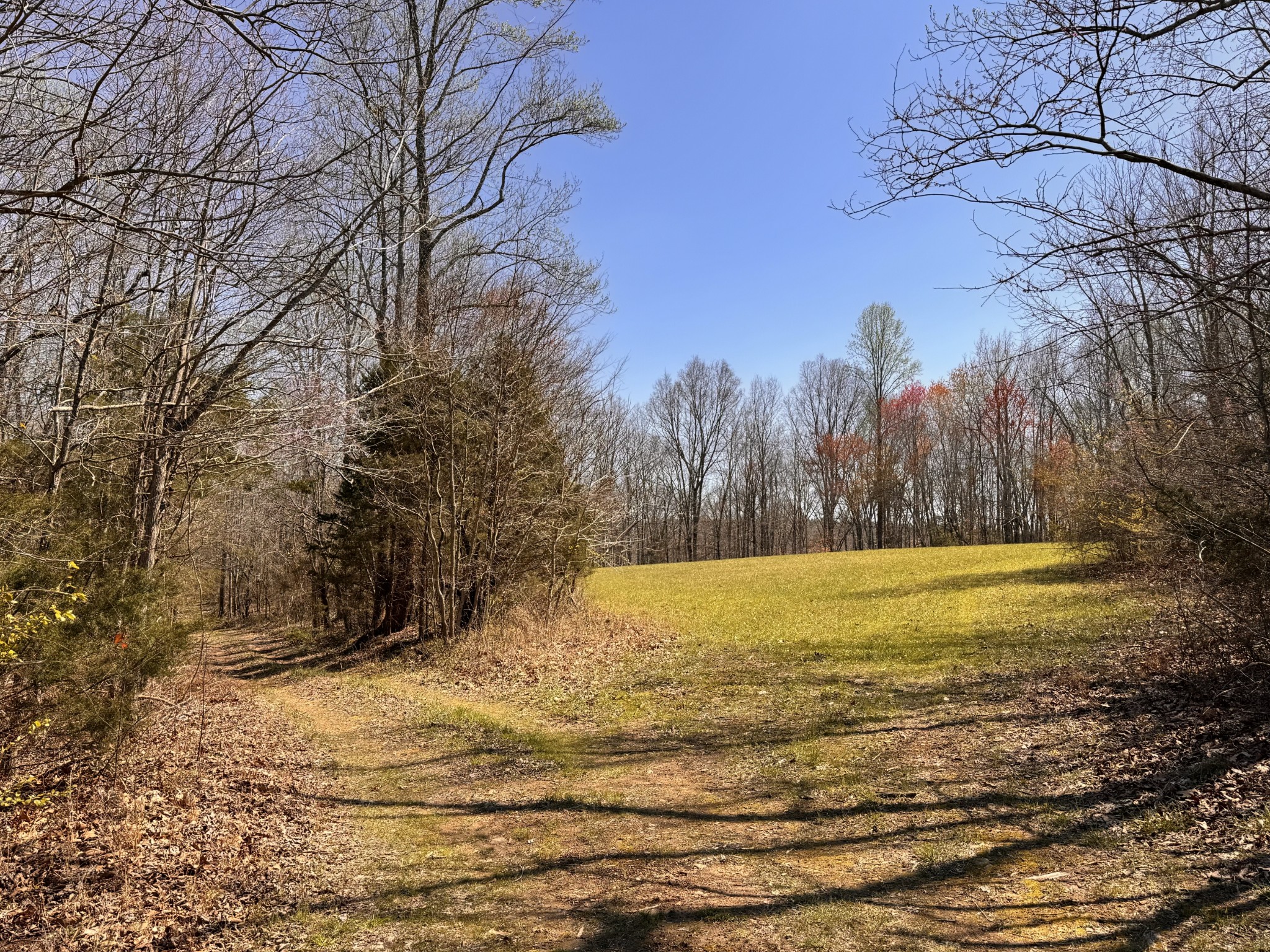 0 Chestnut Grove Cemetery Rd