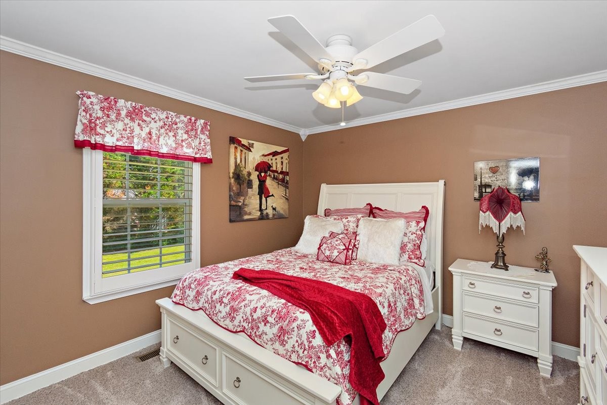 6 Warner Rd